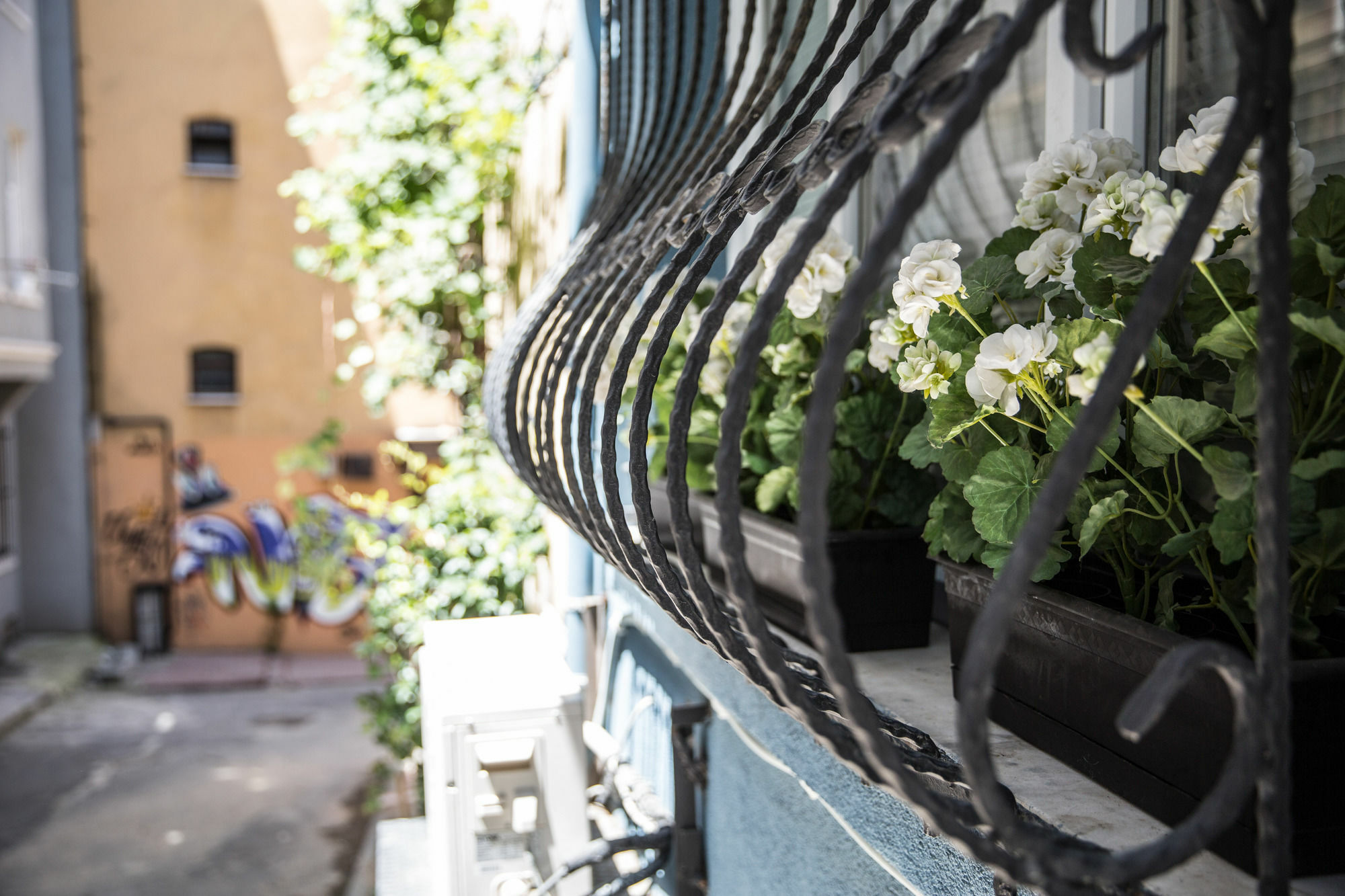 Ditto Flats İstanbul